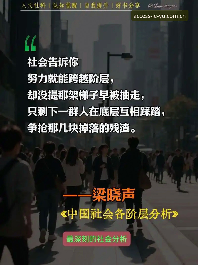 深度揭秘：leyu体育下载安卓版背后的体验真相，老用户亲述你不知道的事